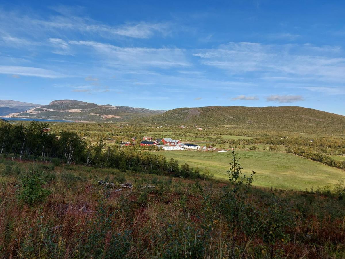 Austertanakrystallen By Pure Lifestyle Arctic المظهر الخارجي الصورة